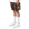Safari - Leopard