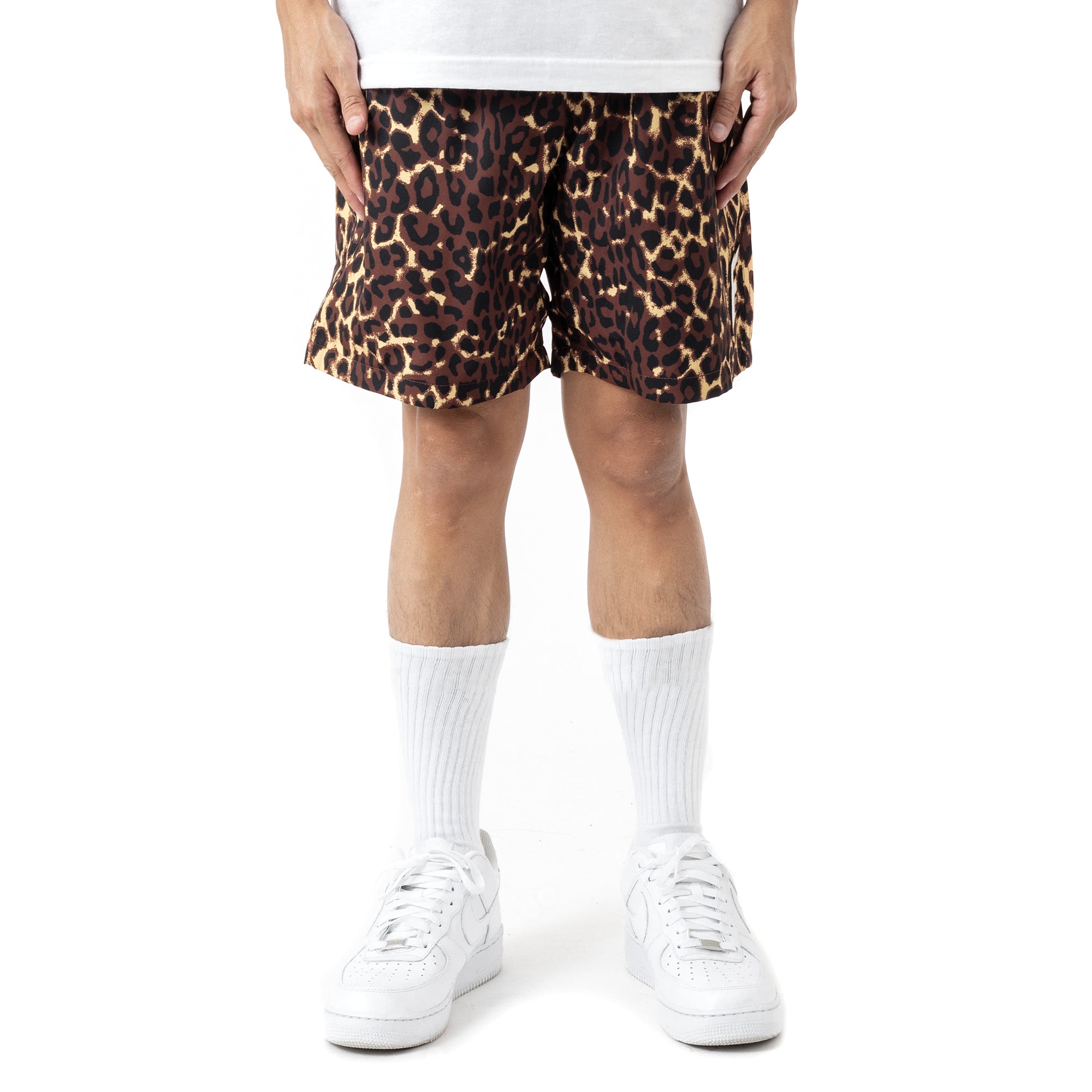 SAFARILEOPARD_f4a917f8-9e77-